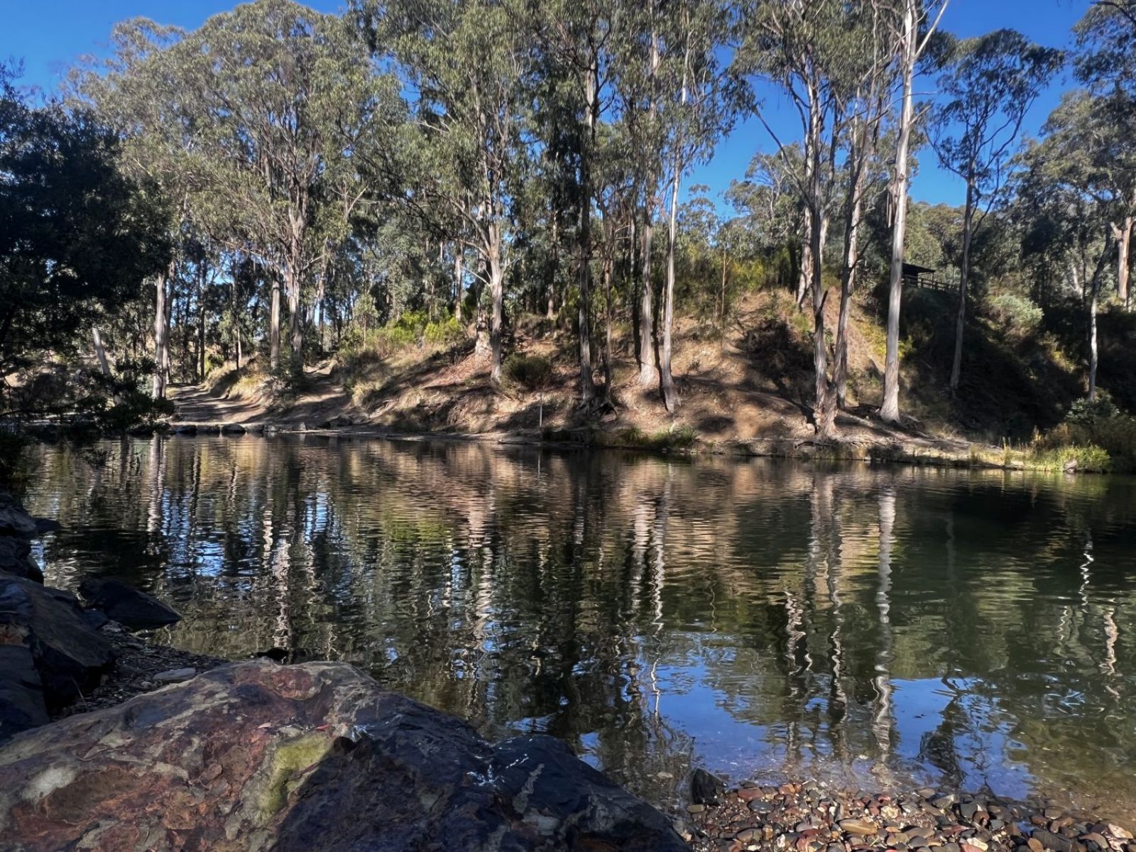 A wide river sat amongst river banks with trees on a sunny day.