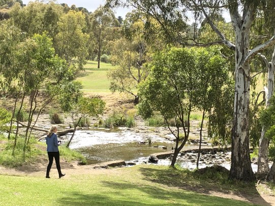 Woman walking down a hill in a park with a swamp to the left and trees to the right