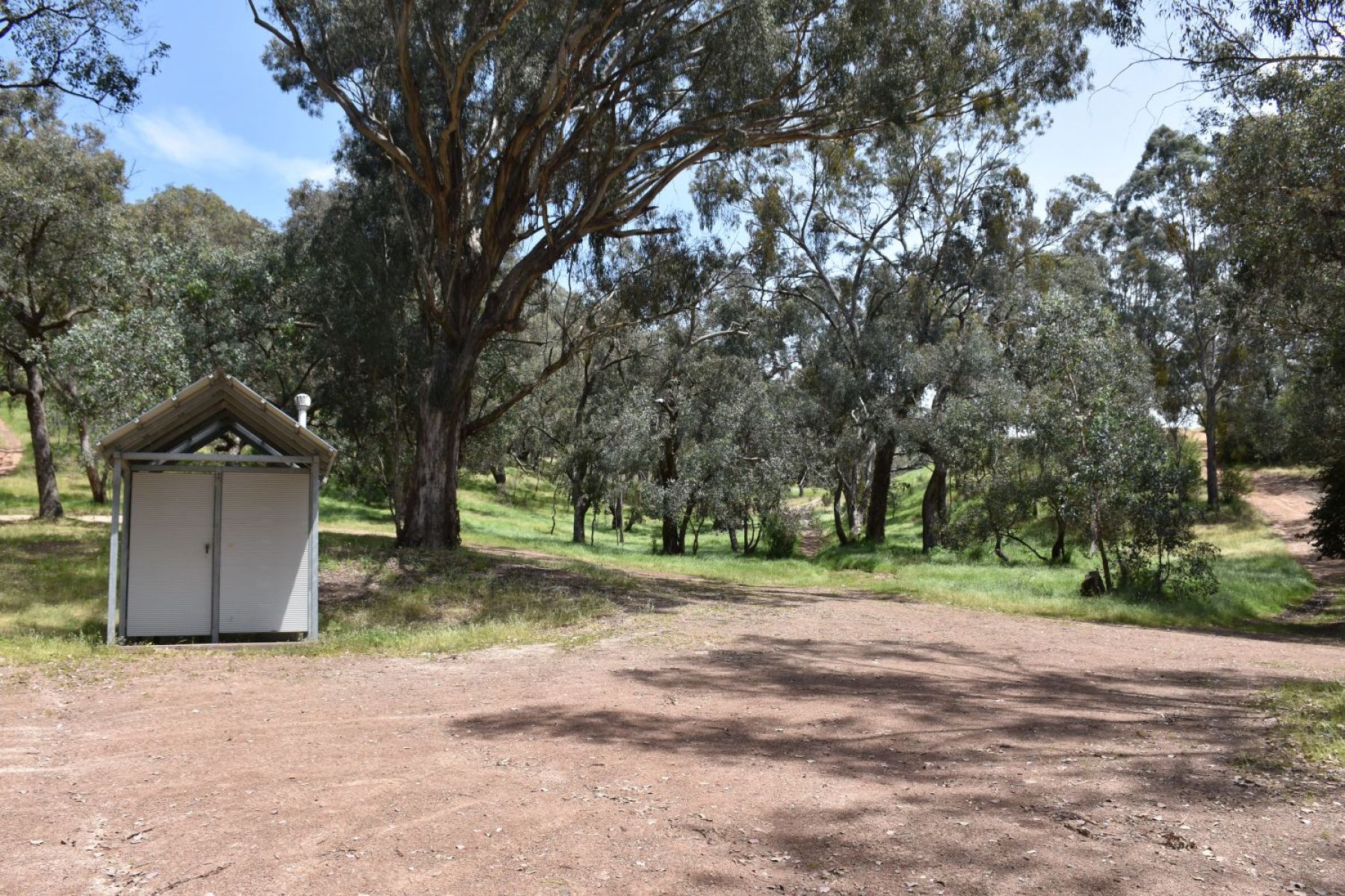 A metal toilet under a large tree in the bush