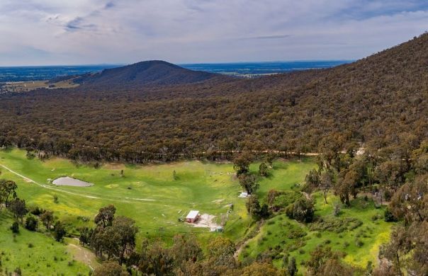 A large grassy area with a forestes mountain range.