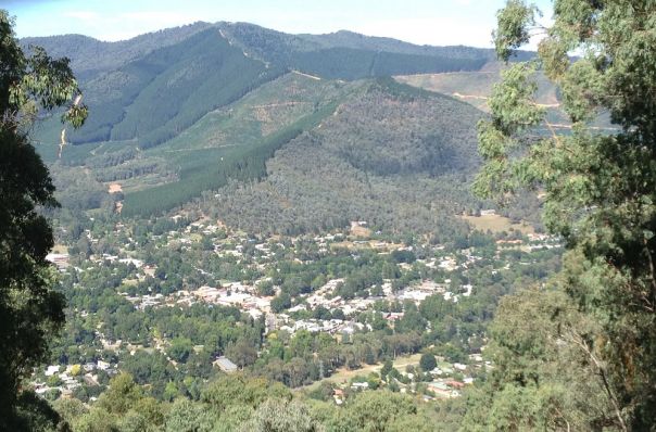 A forest lookout overlooking bright
