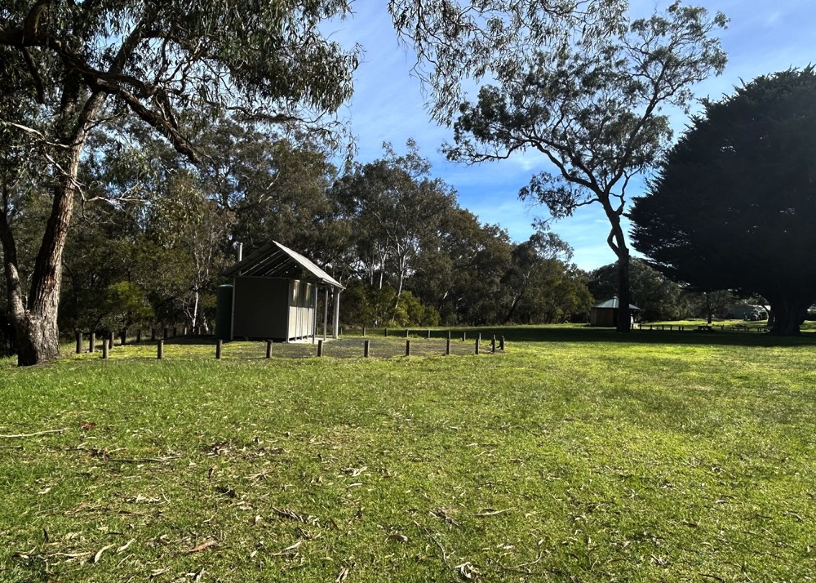 An open grassy area surrounded by trees in the forest. 