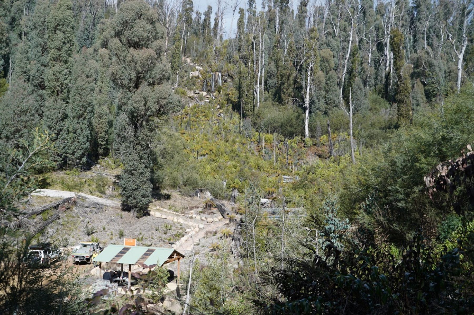 Aerial view of picnic area and waterfall surrounded by forest