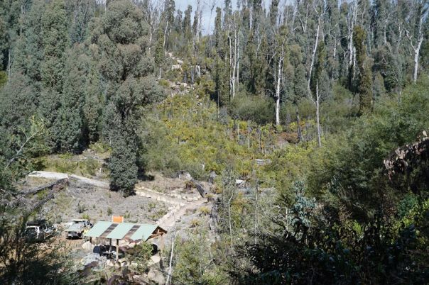 Aerial view of picnic area and waterfall surrounded by forest