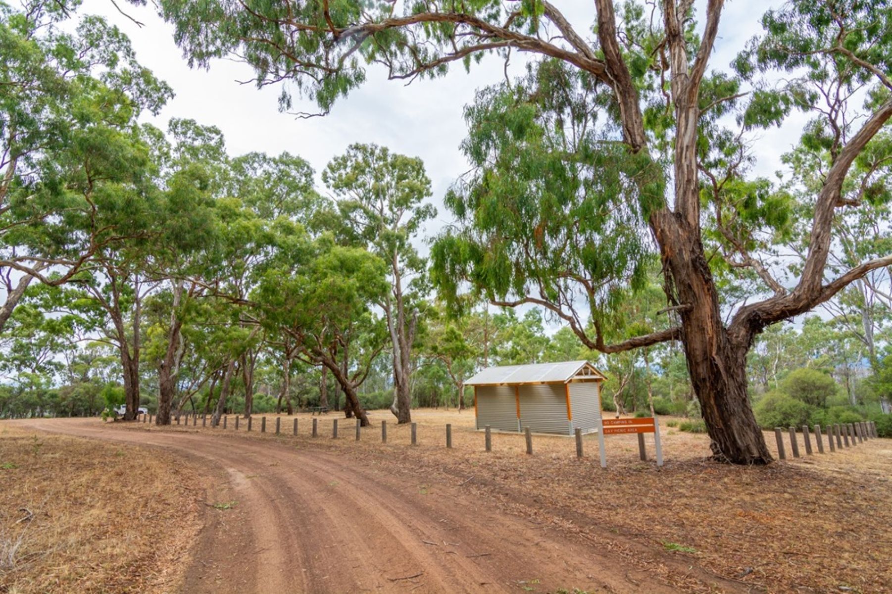 A dirt track leading to a campground in the forest beside a reservoir. 
