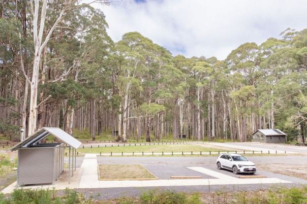 A carpark, toilet block, picnic table and hut surrounded by trees in the forest.