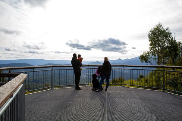 A family standing on a lookout platform overlooking the forest.