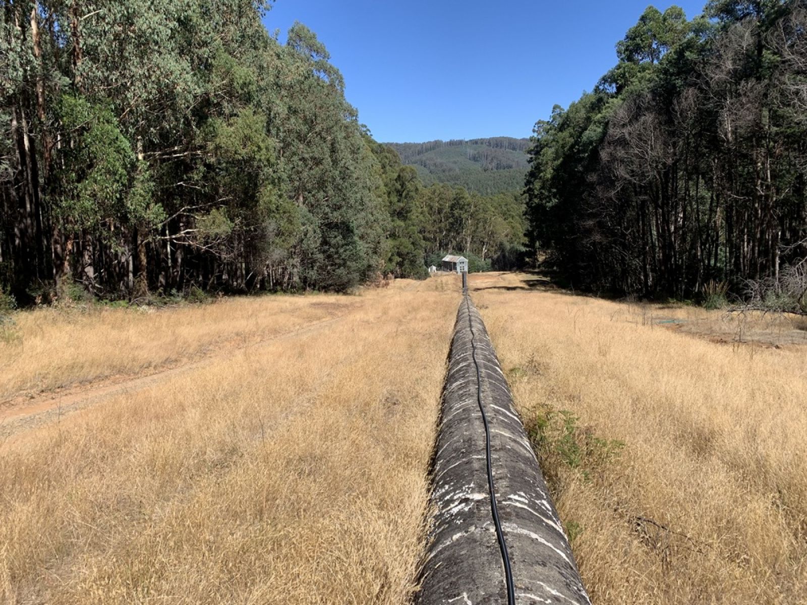 A large pipe in the middle of a clearing in the forest that leads to a power station. pipe that feeds the 