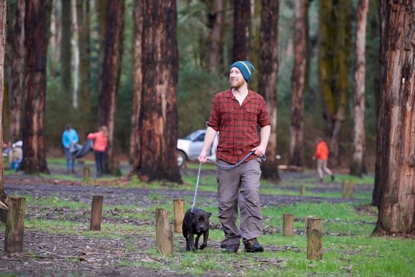 Person walking a dog in the forest