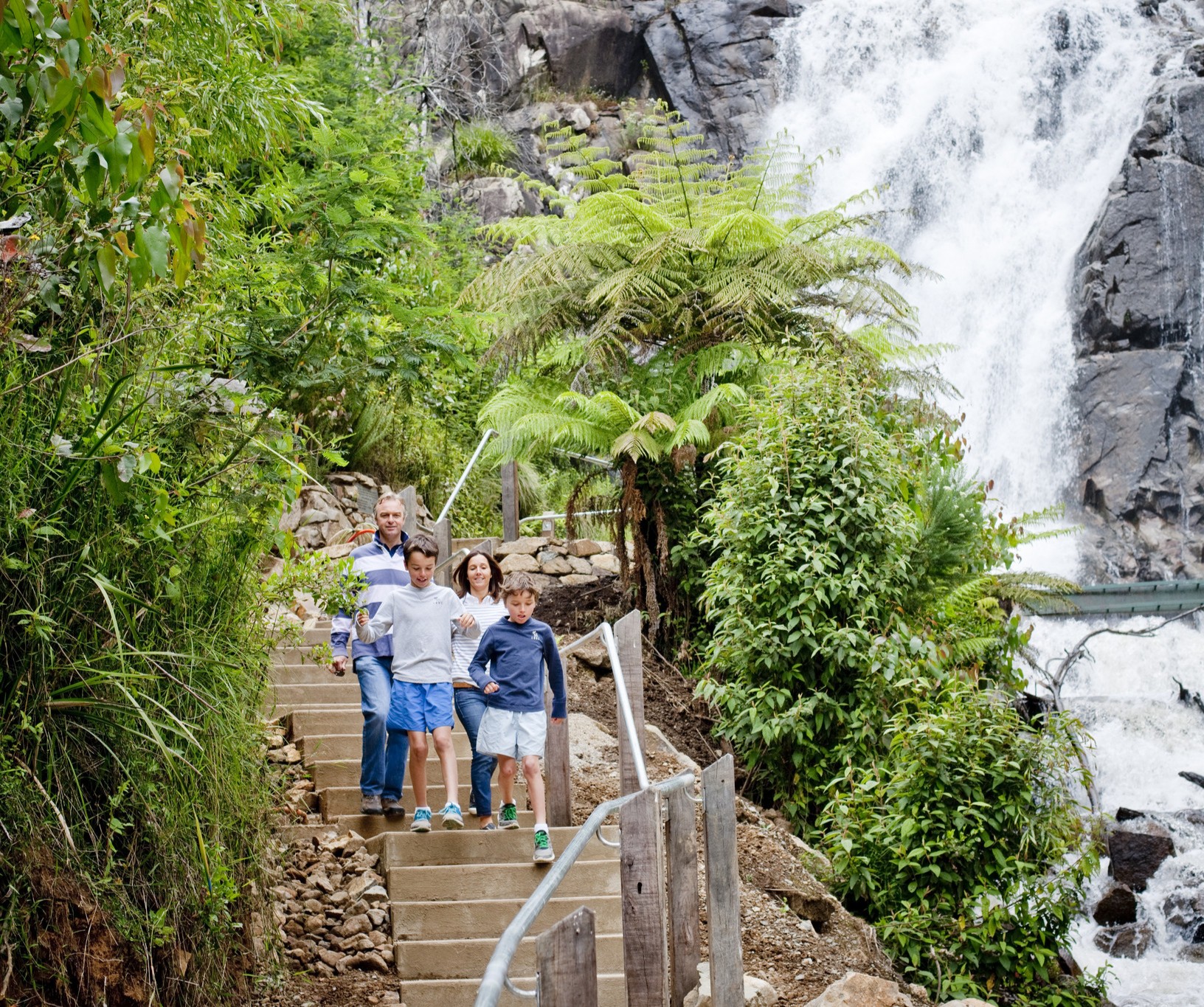 family descending the steps at Steavenson Falls  