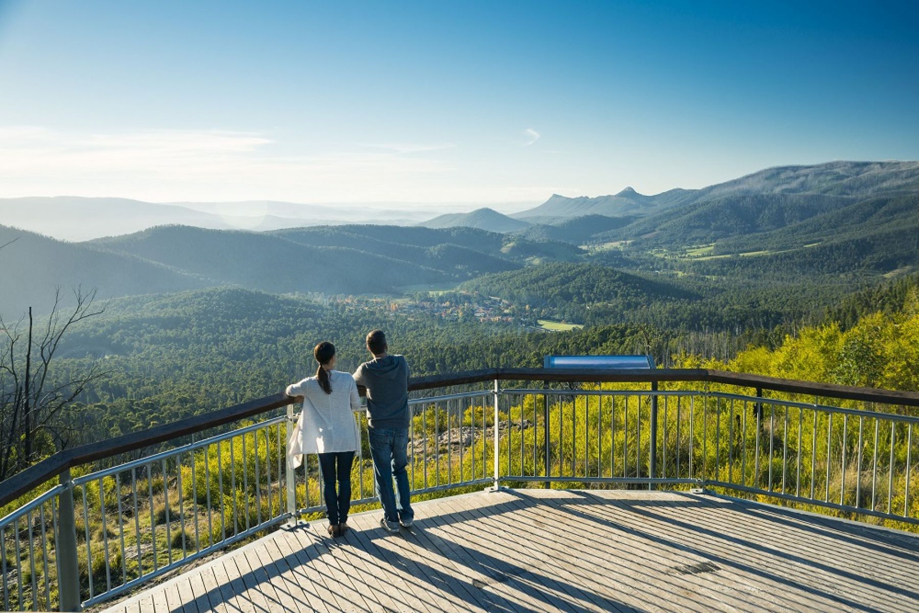 Two people standing on a lookout platform overlooking the forest. 