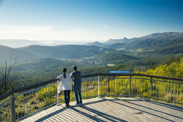Two people standing on a lookout platform overlooking the forest.