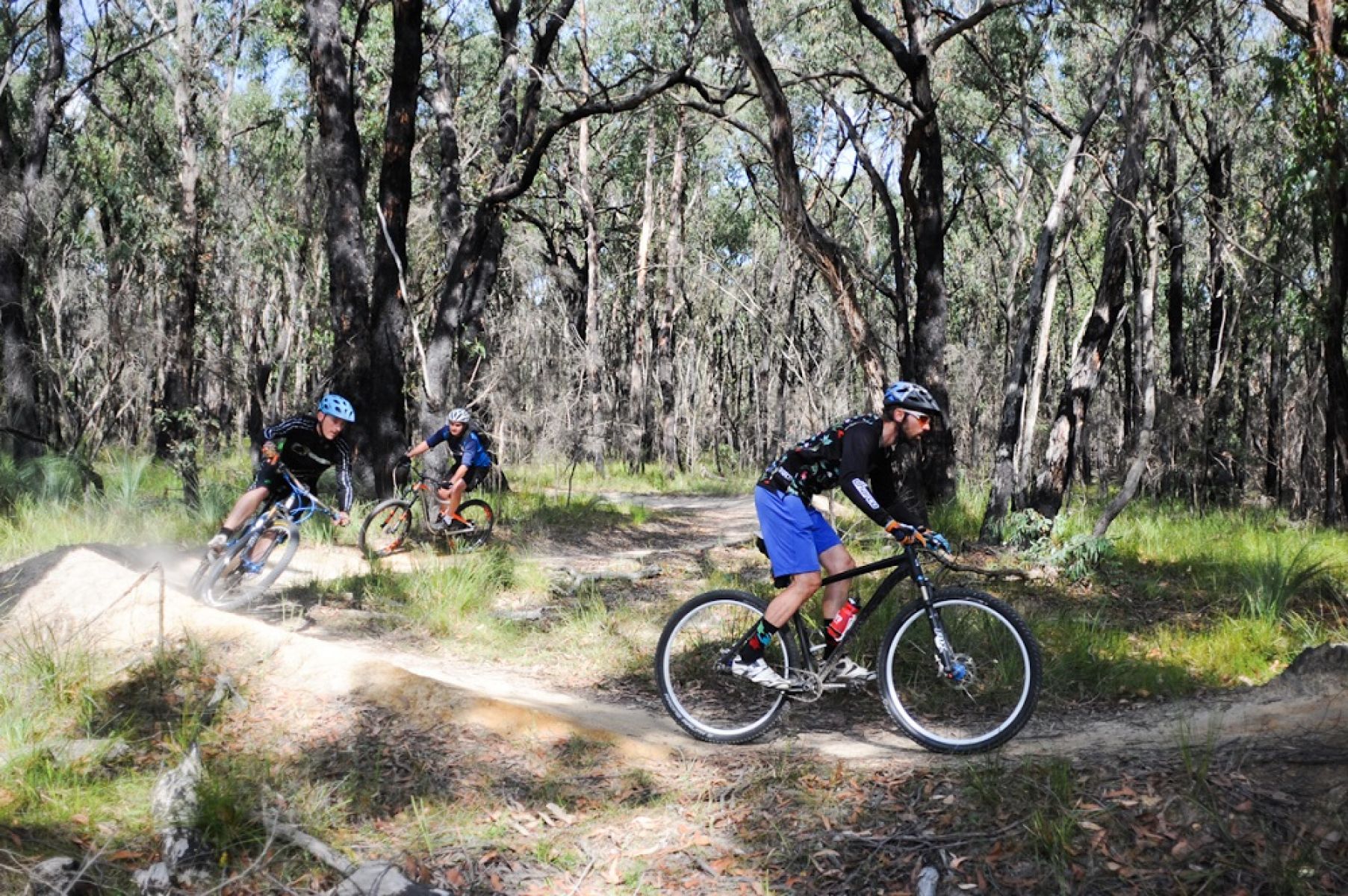 Mountain bike rider on trail surrounded by forest