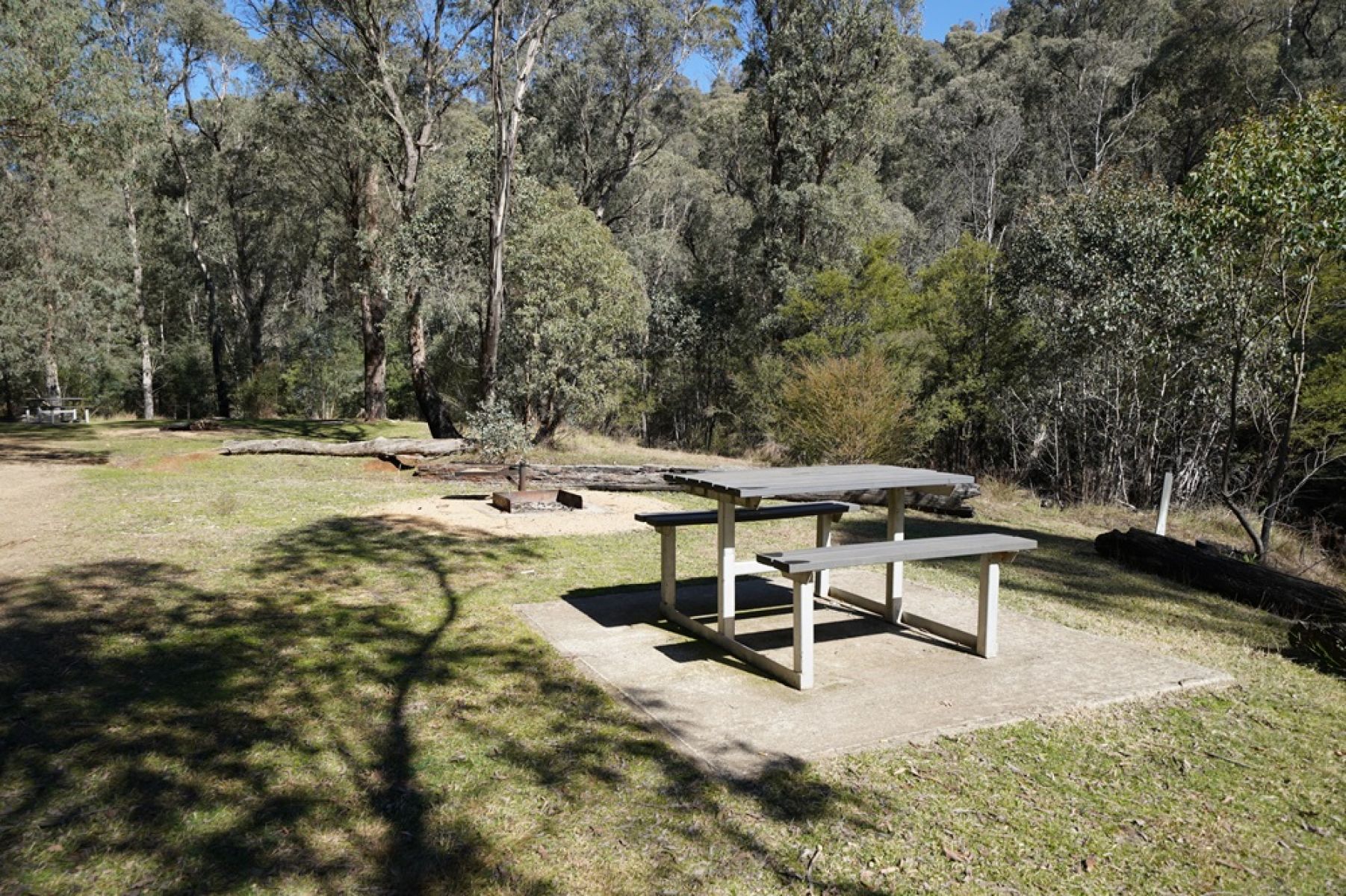 Picnic table in grassy clearing