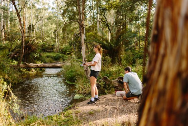 Two people fishing by a small river in the forest