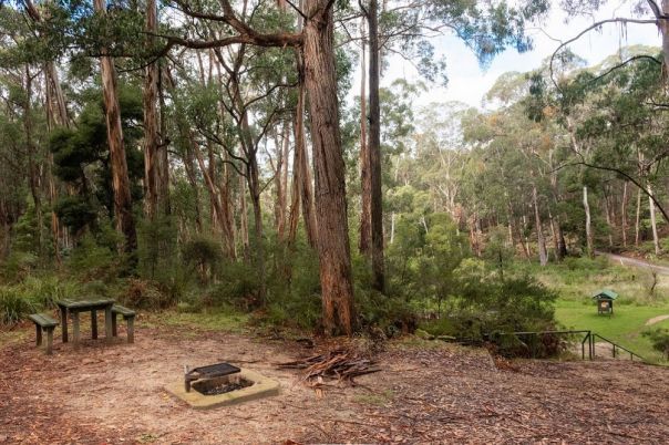A foressted campground, fire pit and picnic table surrounded by trees.