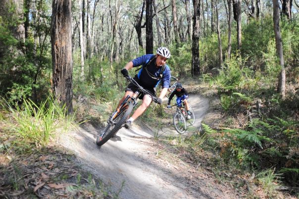 Mountain bike rider on trail surrounded by forest