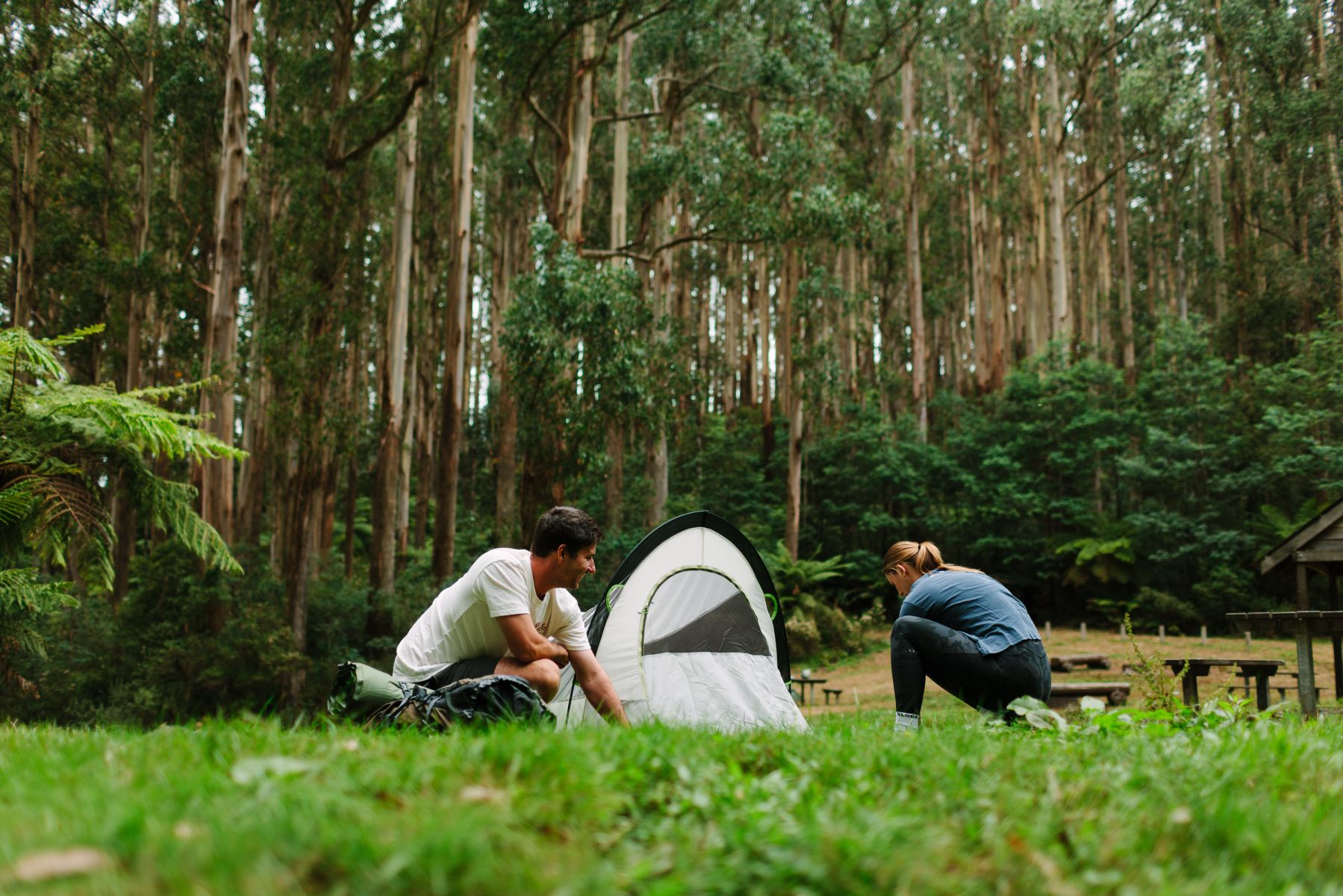 Two people setting up a small white tent in a grass clearing