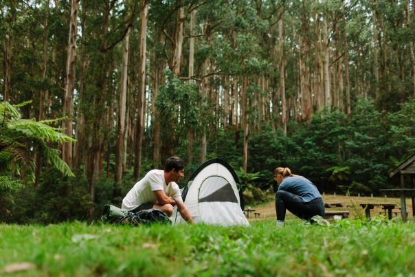 Two people setting up a small white tent in a grass clearing