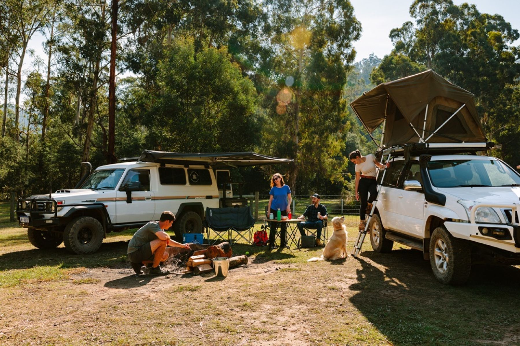 Group of people sitting beside 4WD vehicles in campground