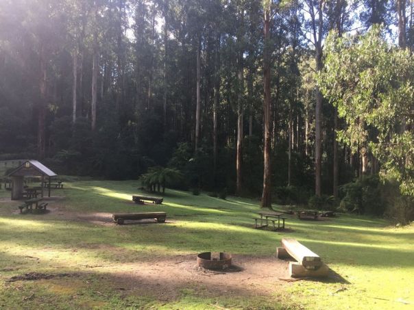 A picnic area and campground in the forest.