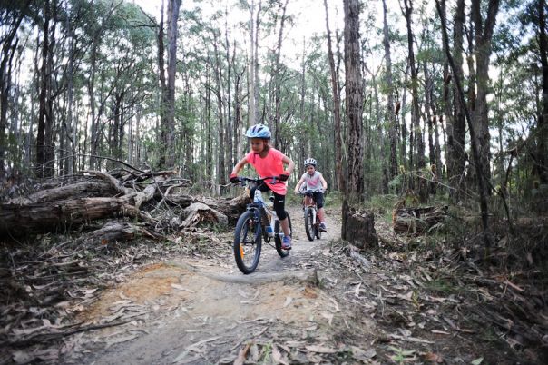 Mountain bike rider on trail surrounded by forest