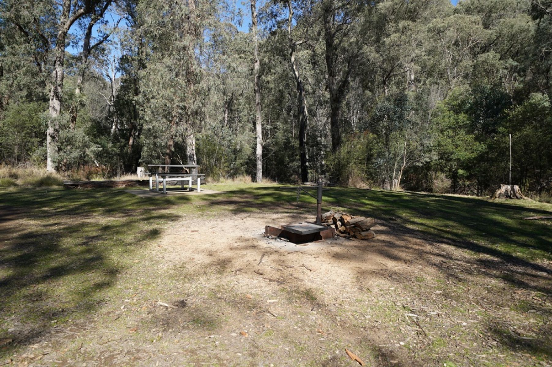 Firepit and picnic table in grassy clearing
