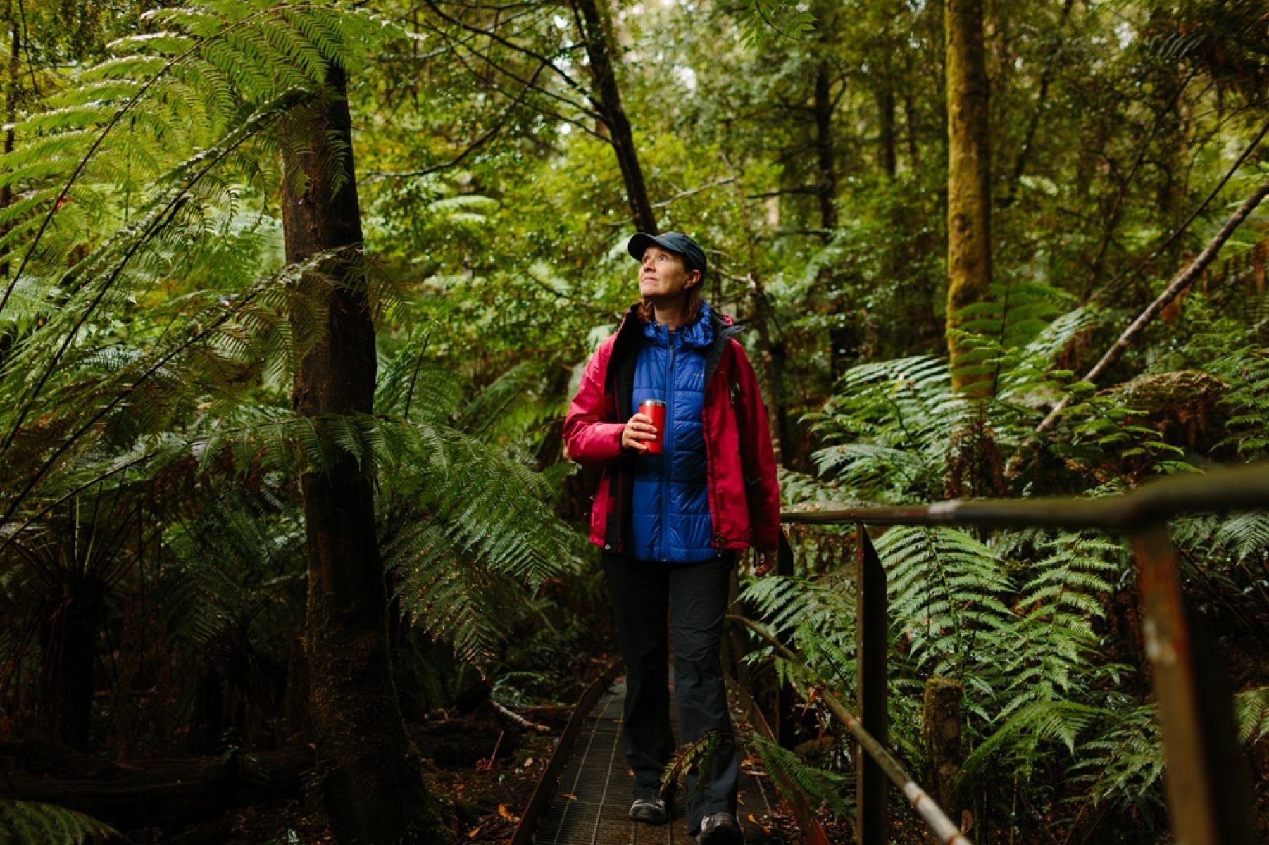 A person walking along a boardwalk in the forest. 