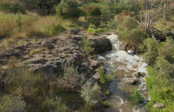 Jackson creek flowing water surrounded by green from parklands