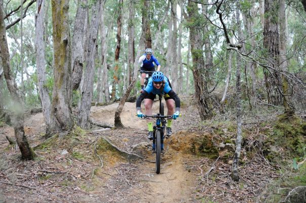 Mountain bike rider on trail surrounded by forest