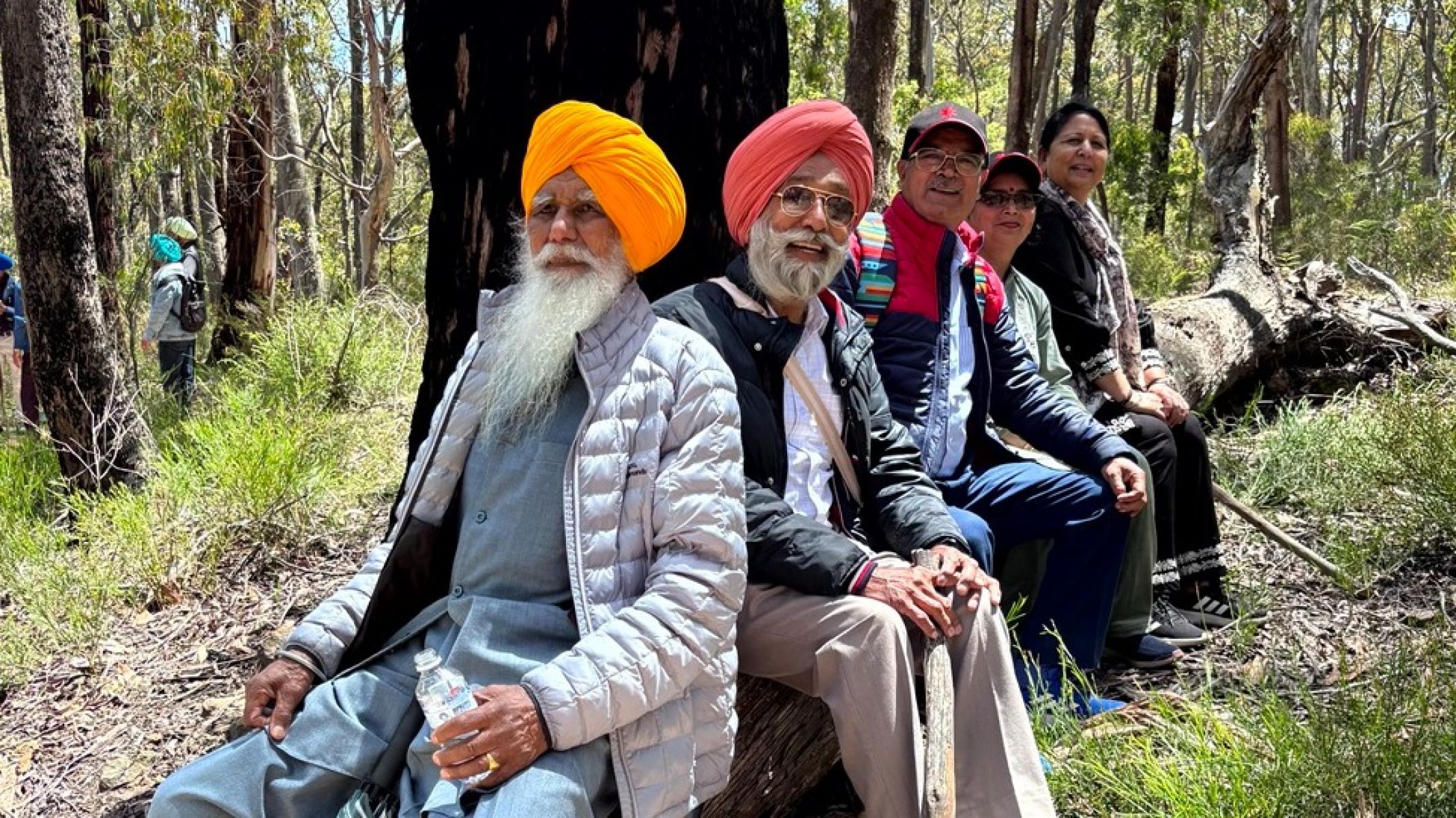 A group of people sitting on a large log surrounded by forest