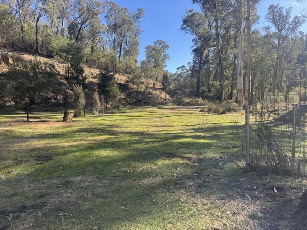 A grass clearing for camping 