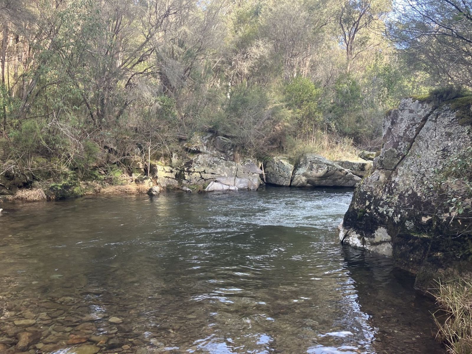 A river surrounded by large rocks and trees
