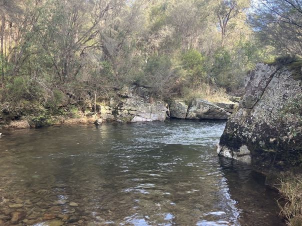 A river surrounded by large rocks and trees