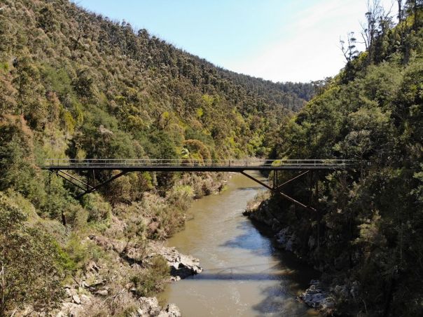 A bridge over a river surrounded by trees