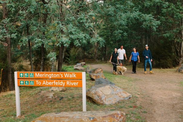 Group of people and a dog walking past a sign in the forest