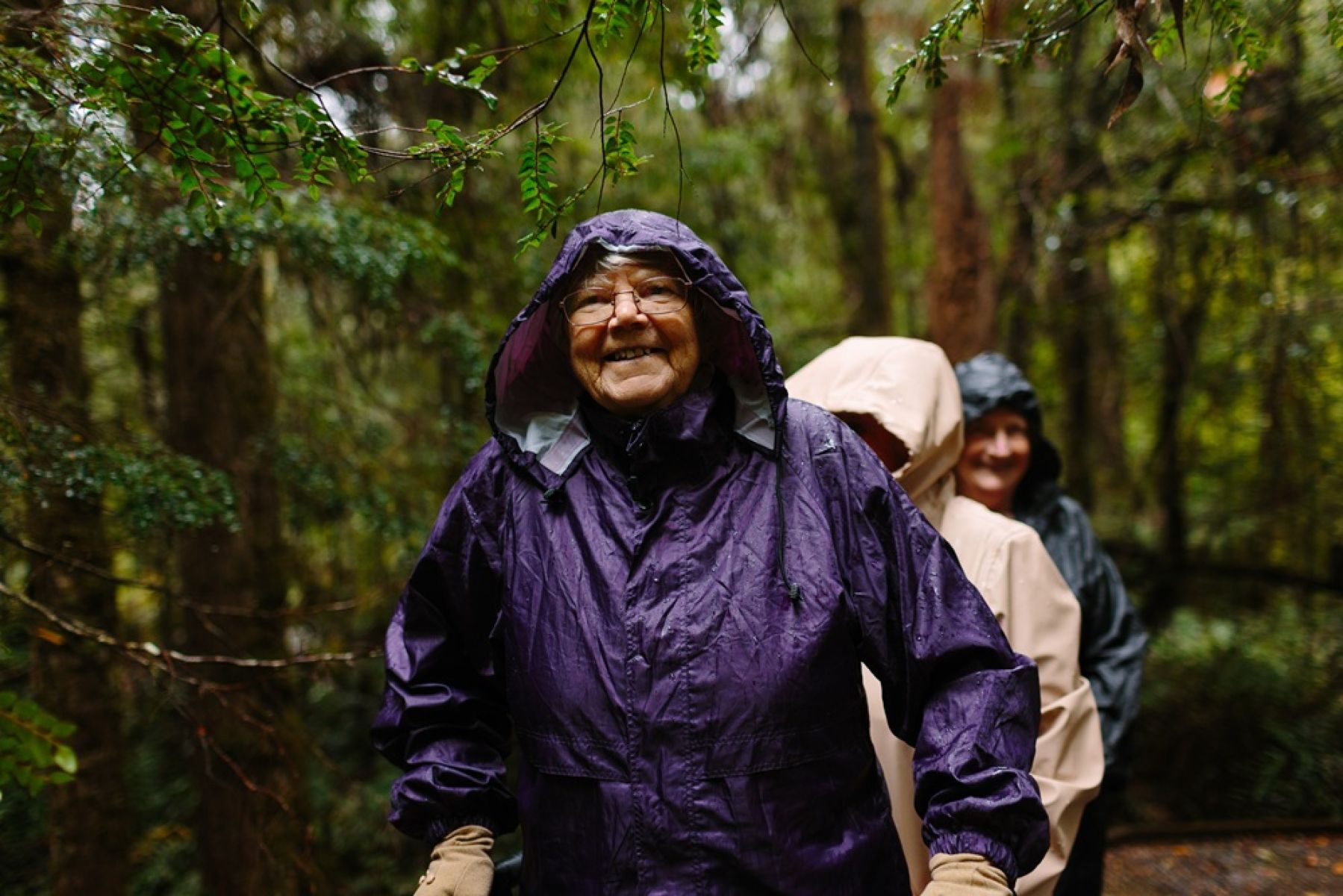 A person walking through dense forest
